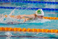 D04_8356